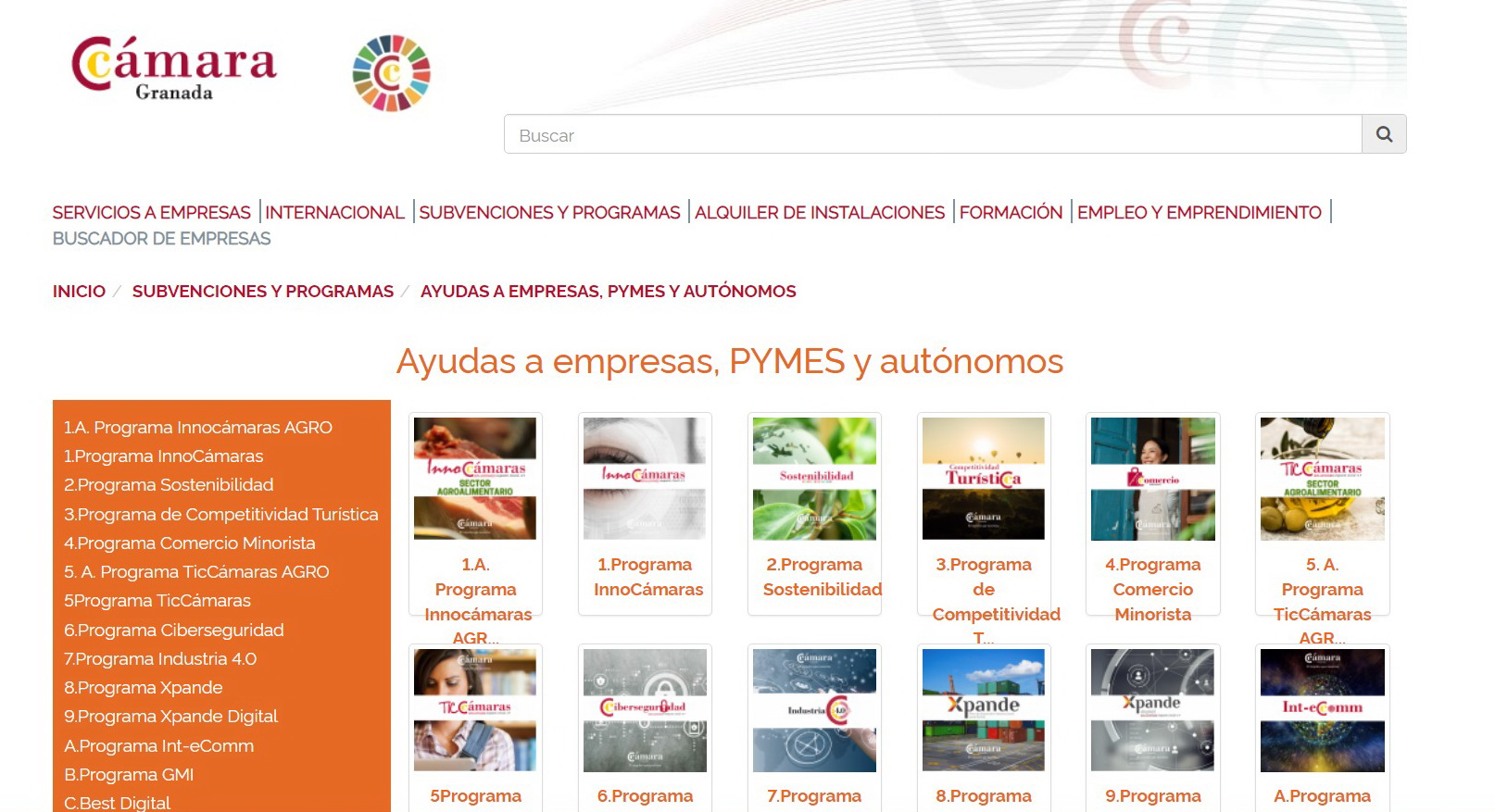 Salen las ayudas anuales de Cámara Granada para autónomos y empresarios..